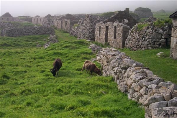 saoy grazing village