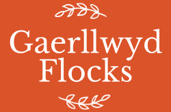 Gaerllwyd Flocks